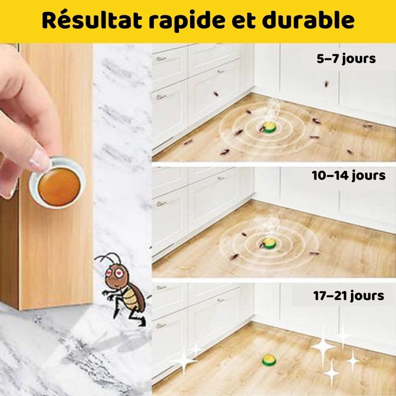 Bye Bye Cafards™ : Votre maison mérite enfin la paix