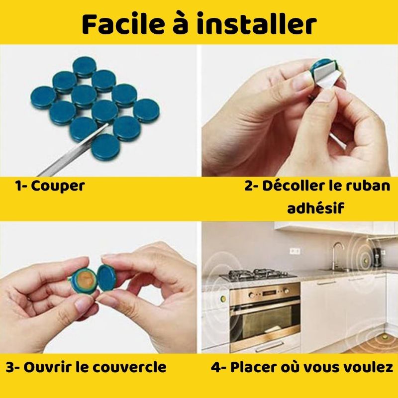 Bye Bye Cafards™ : Votre maison mérite enfin la paix