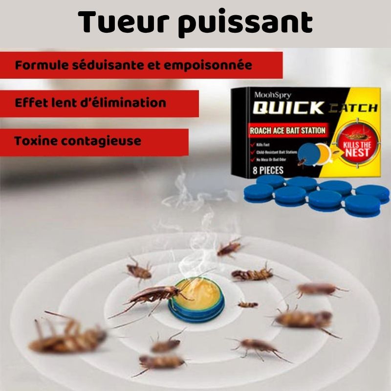 Bye Bye Cafards™ : Votre maison mérite enfin la paix