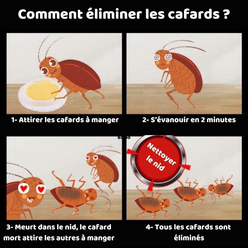 Bye Bye Cafards™ : Votre maison mérite enfin la paix