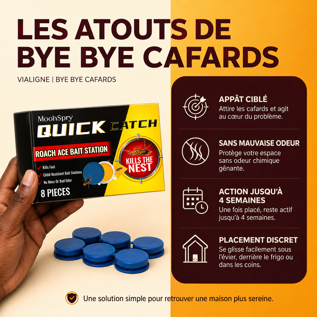 Bye Bye Cafards™ : Votre maison mérite enfin la paix
